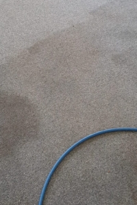 A half cleaned section of carpet