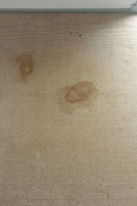 carpet-cleaning-stain-before