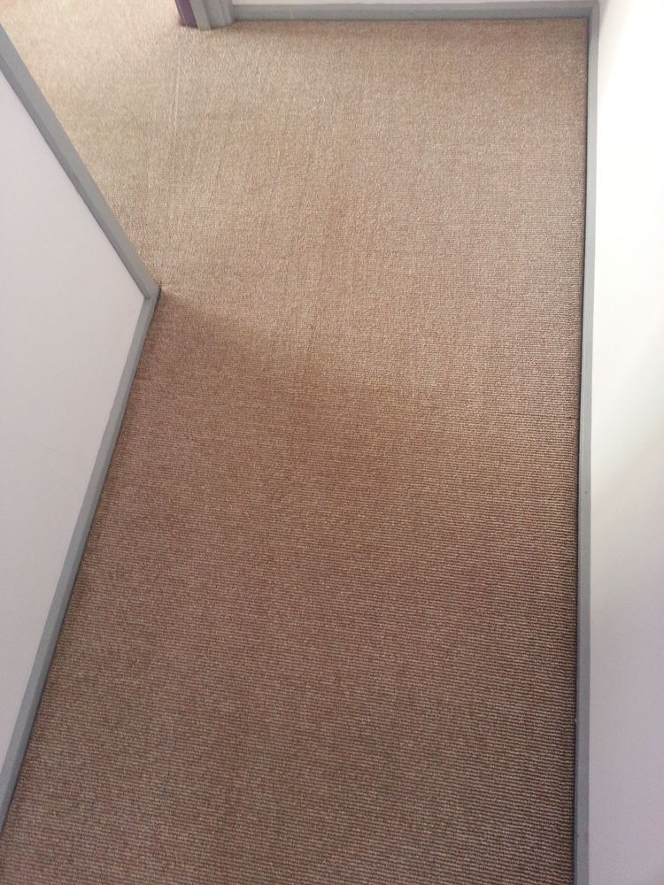 carpet-cleaning-urine-after